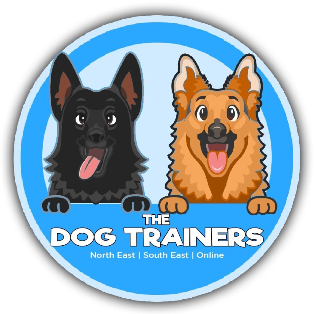 Newcastle Dog Trainer